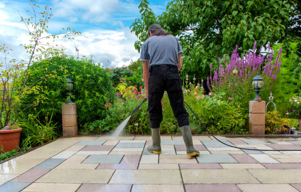 Professional Pressure Washing in Orangetree, FL
